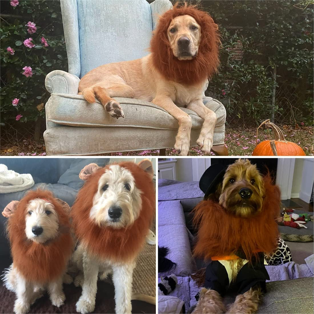 Lion Mane for Dog Costumes, Realistic Wig for Medium to Large Sized Dogs (Dark Brown)